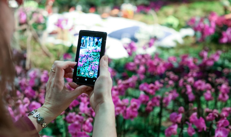 Zentralverband Gartenbau e.V.