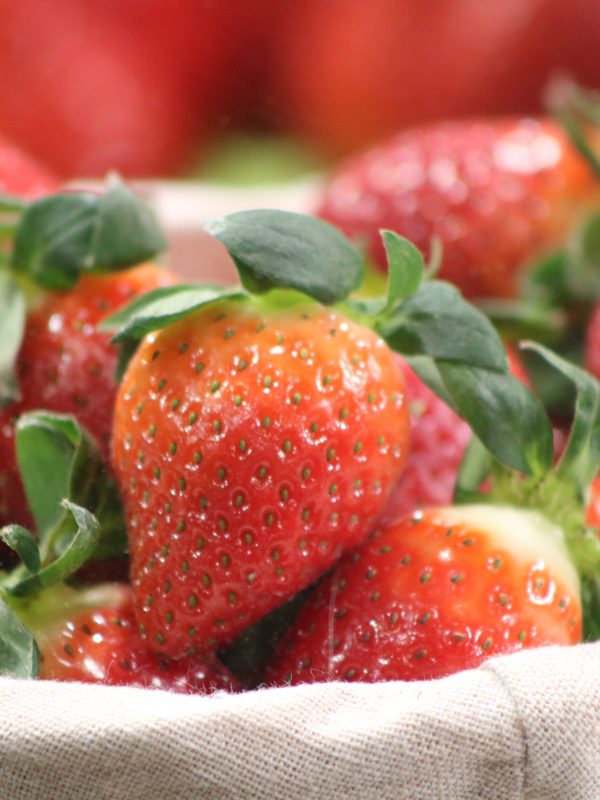 Erdbeeren auf der Internationalen Grünen Woche