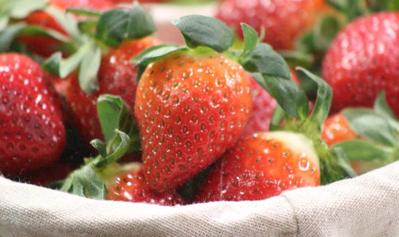 Erdbeeren auf der Internationalen Grünen Woche