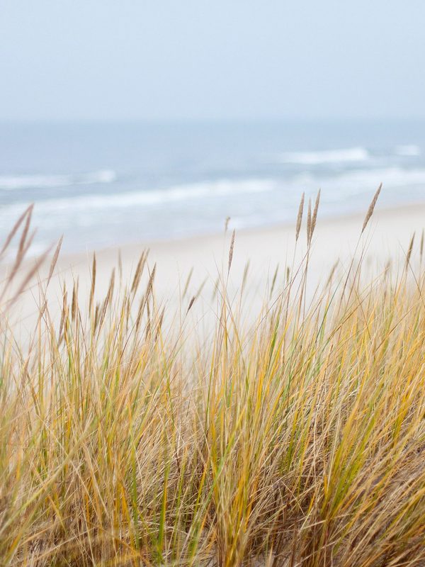 Strand Hohe Düne